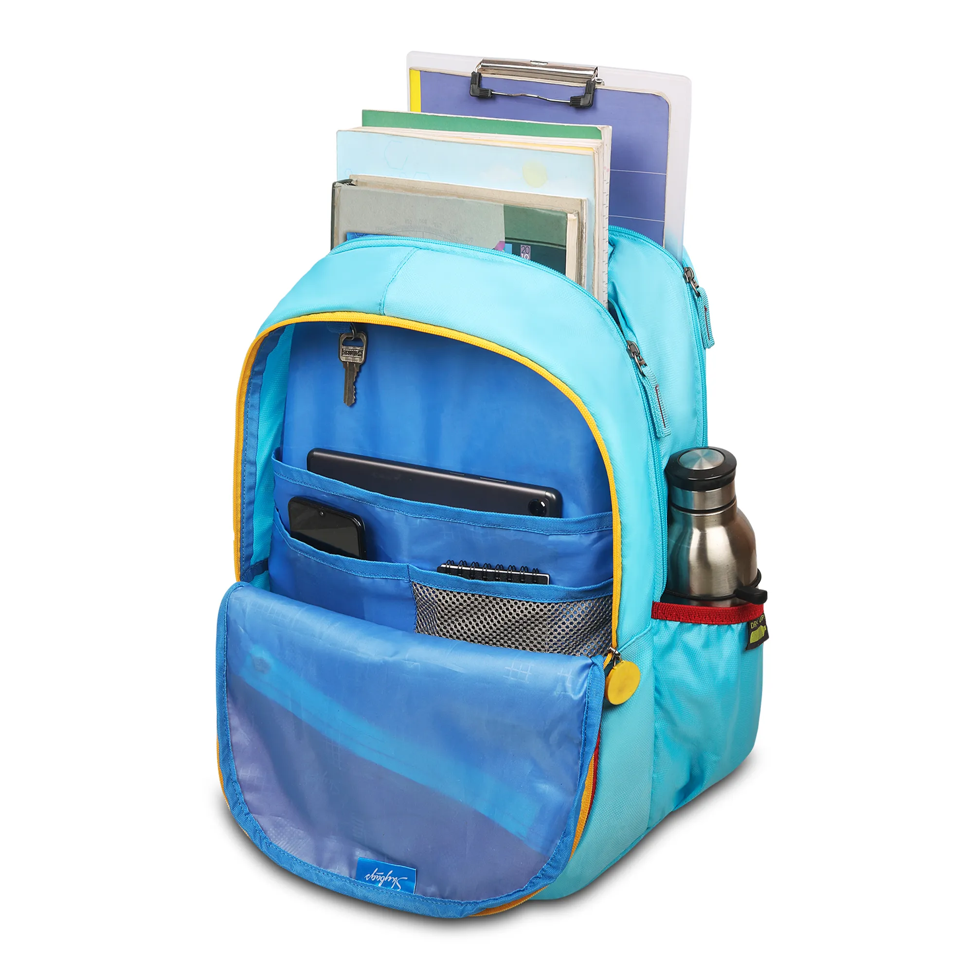 Chase Blue - Image 5