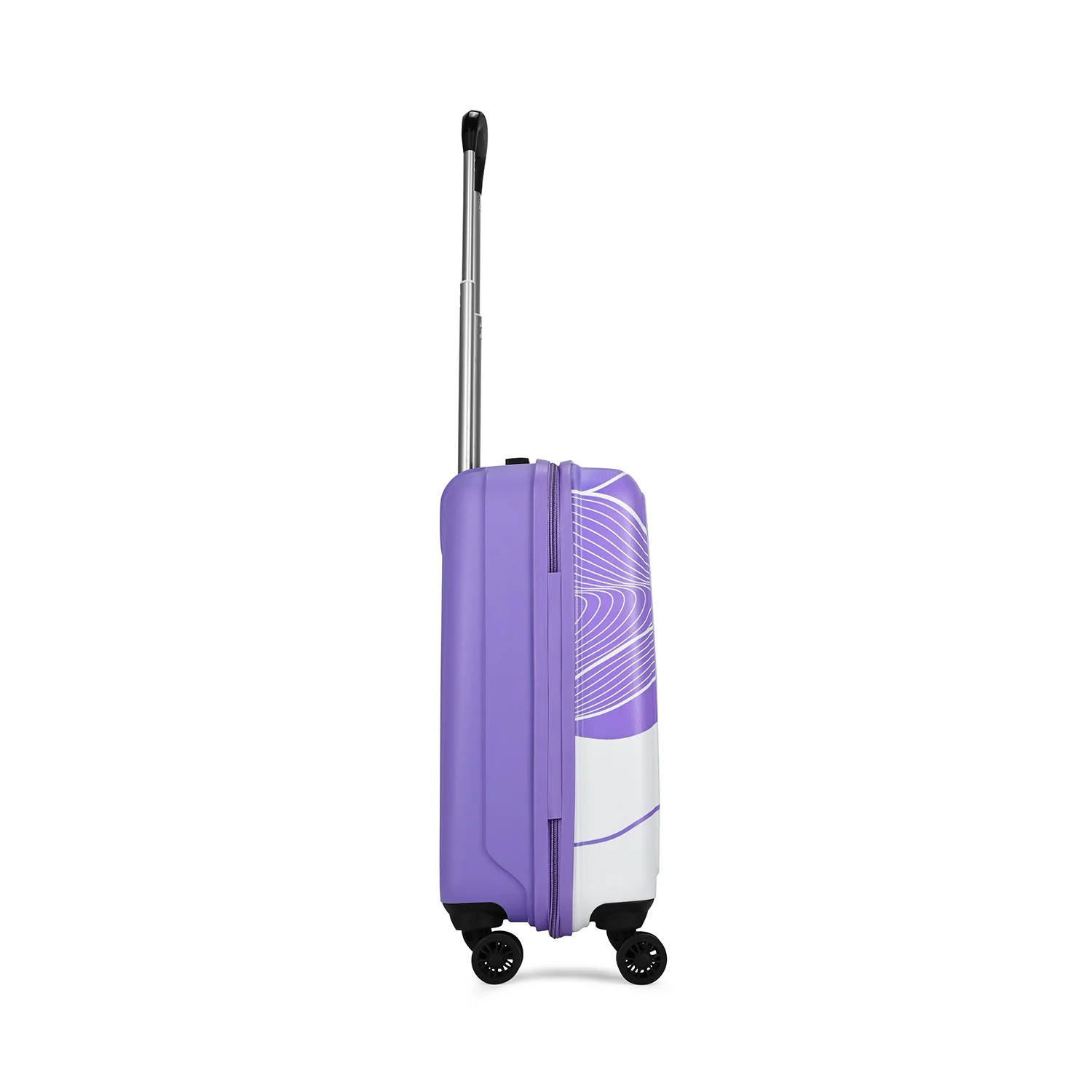 PARADISE VIOLET - Image 6